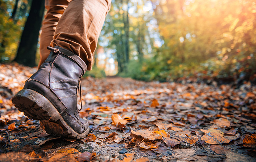 Walking Holidays in Monmouthshire