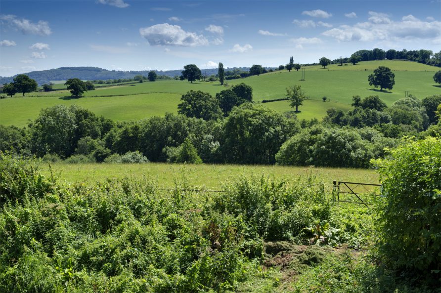 Steppes Farm Holiday Cottages Monmouthshire